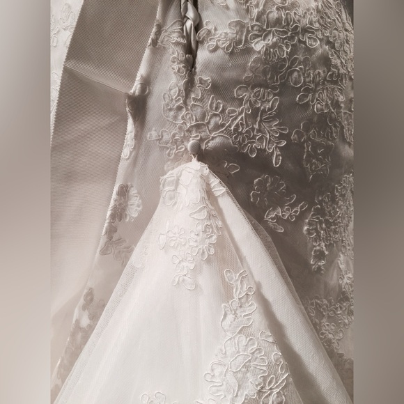 Demetrios Wedding dress cb 7674 size 2, altered to fit dress size 2 - Picture 7 of 12